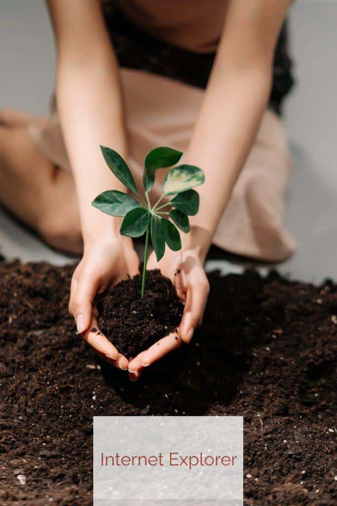 planta