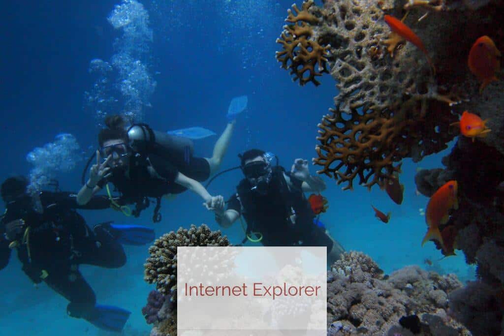 snorkel