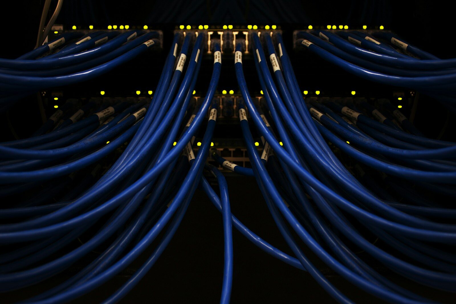 Cables de red azules conectados a un panel, imagen de la página de contacto de iecss